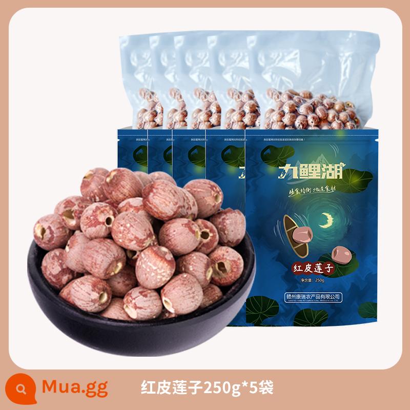 Chín cá chép hồ sen đỏ 500g hạt sen đỏ không lõi bột hạt sen đỏ hạt sen không da không lưu huỳnh hàng khô nông trại - [Đóng gói theo nhóm] Hạt sen đỏ loại 1 250g*5 túi đóng gói chân không