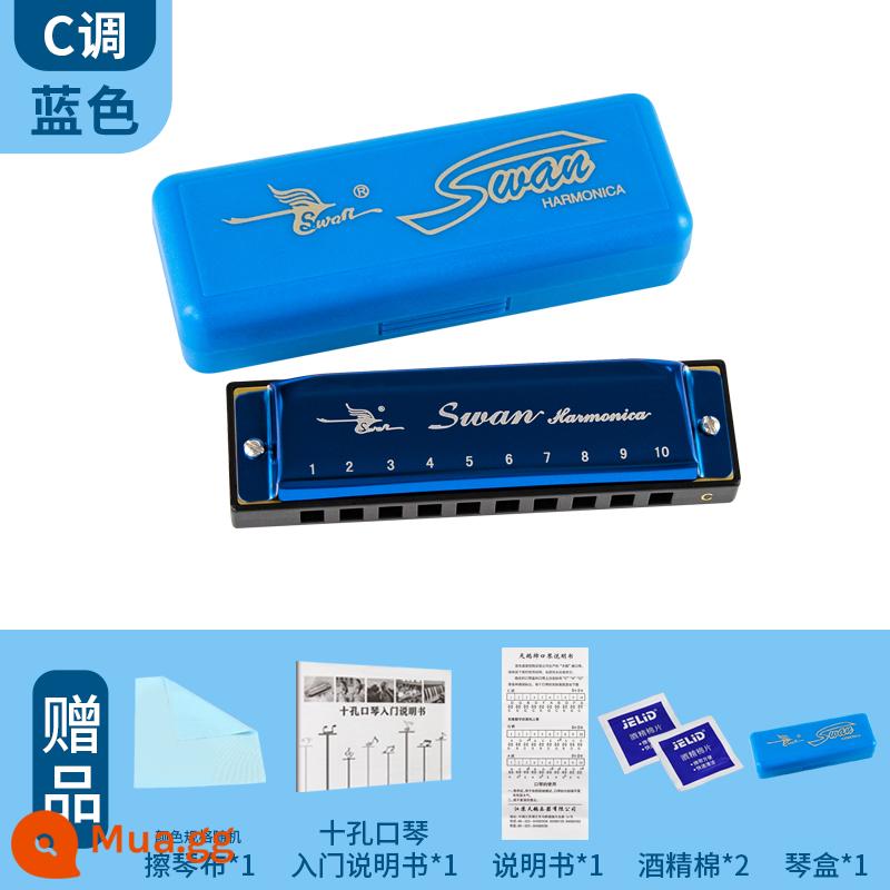 Thiên nga 10 lỗ kèn harmonica blues C giai điệu chơi 10 lỗ dành cho trẻ em mới bắt đầu học sinh người lớn mới bắt đầu tự học - màu xanh + quà tặng