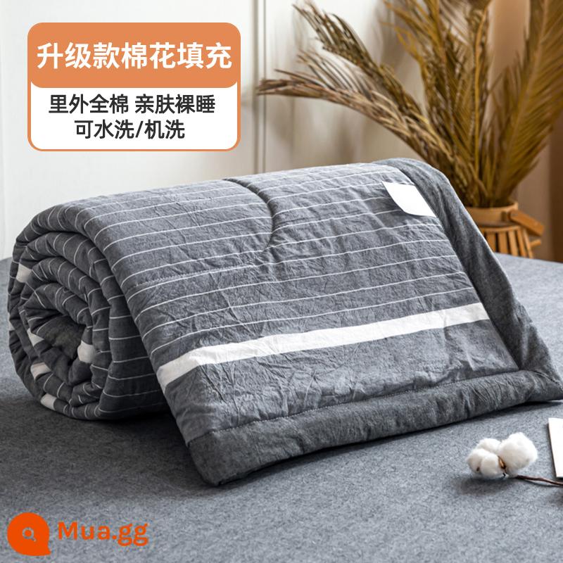 100% cotton bên trong và bên ngoài chăn mùa hè chăn điều hòa mùa hè chăn mát cotton nguyên chất đôi đơn có thể giặt bằng máy mùa hè lõi chăn mỏng - Dải màu xám [100% cotton bên trong và bên ngoài, mềm mại và thân thiện với da]