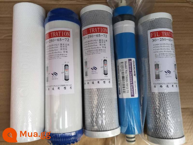 Bộ lọc nước suối sương lọc QL-RO-A/B/C/D/E/G/H/I xác thực chính hãng phần tử lọc nước thẩm thấu ngược - RO-G (Bông PP + cacbon + màng)