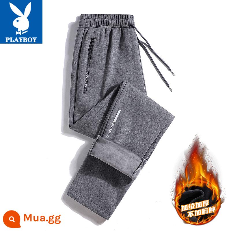 Quần Playboy nam xuân thu cotton nguyên chất thường ngày cỡ lớn quần legging thể thao 2023 quần thể thao rộng rãi và đa năng - Màu xám thẳng [cộng với nhung]