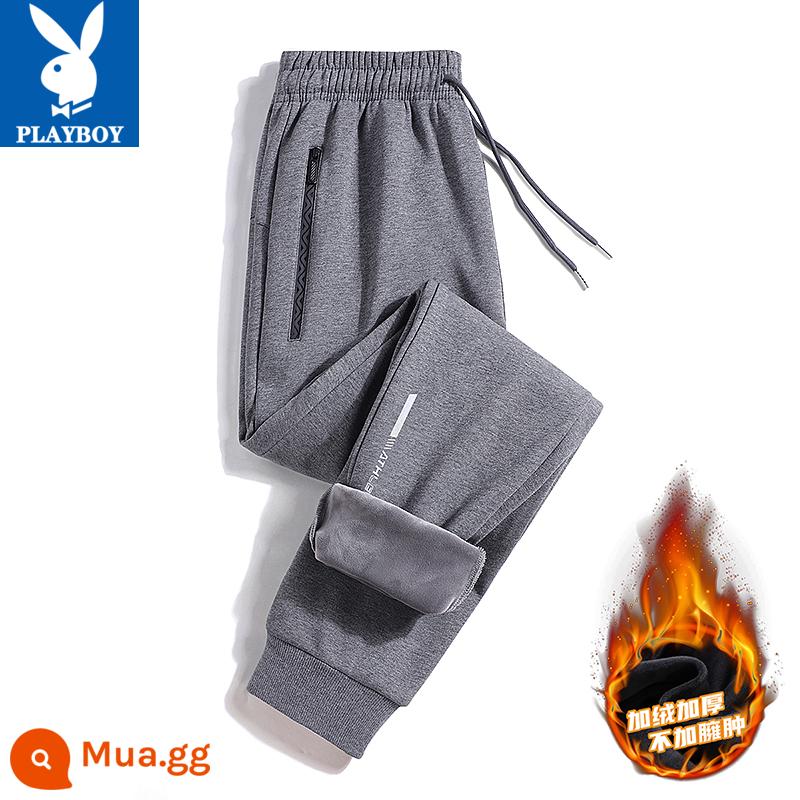 Quần Playboy nam xuân thu cotton nguyên chất thường ngày cỡ lớn quần legging thể thao 2023 quần thể thao rộng rãi và đa năng - Chân buộc màu xám [cộng với nhung]