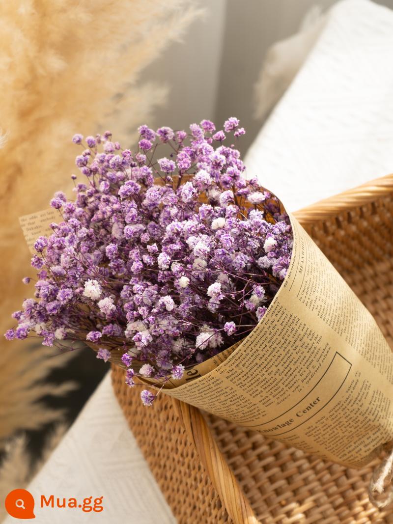 Bất Tử Gypsophila Hoa Khô Ins Lưới Đỏ Gypsophila Cho Bestie Bạn Gái Quà Tặng Sinh Nhật Trang Trí Nhà Cửa - Bó hoa em bé màu tím và trắng