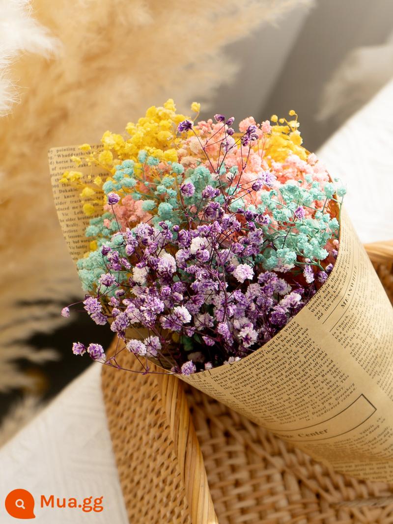 Bất Tử Gypsophila Hoa Khô Ins Lưới Đỏ Gypsophila Cho Bestie Bạn Gái Quà Tặng Sinh Nhật Trang Trí Nhà Cửa - Bó hoa thơm cho bé nhiều màu sắc