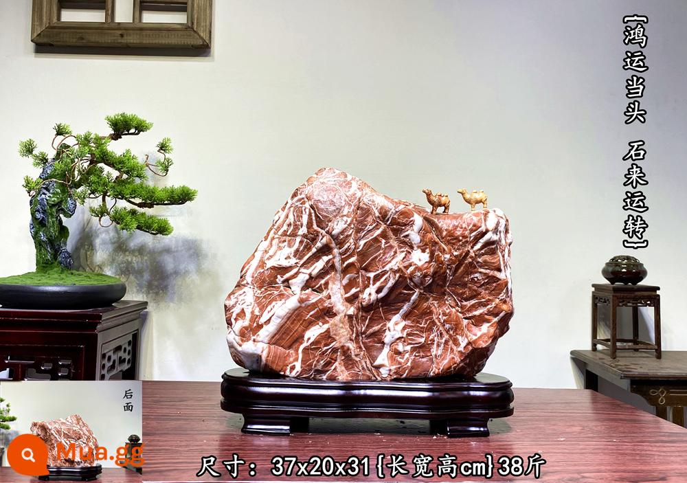 Trang trí đá Lingbi tự nhiên đá thô phòng khách phòng khách Bonsai Taihu Stone Office Xuangan Town House Loc -Water Stone Stone - Hồng