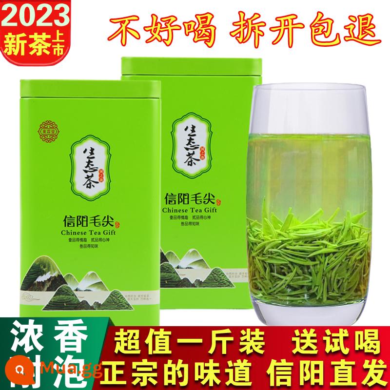 Trà Maojian Trà xanh Xinyang Maojian 2023 trà mới số lượng lớn Trà xanh Maojian 500g Yuqian hương vị đậm đà Trà Maojian - 500g mẫu miễn phí