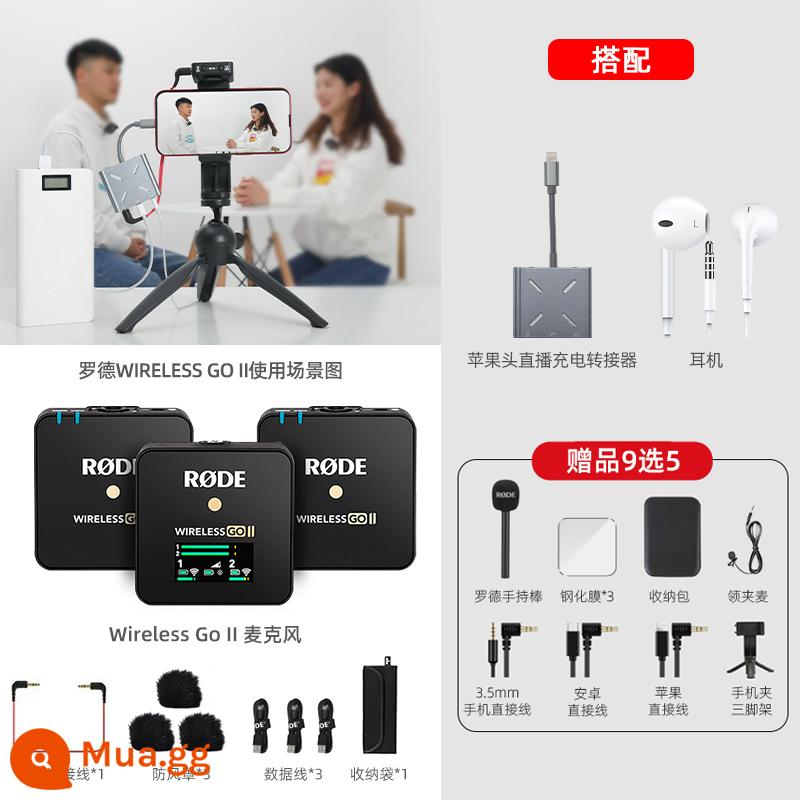 Rode Rode Wireless Go II Micrô Micrô Camera di động Điện thoại di động Radio Radio cổ áo con ong nhỏ - [Hai người + Apple sạc cùng lúc] Rhodes Wireless Go II (thế hệ thứ hai) một đến hai + card âm thanh số 1 phát sóng trực tiếp