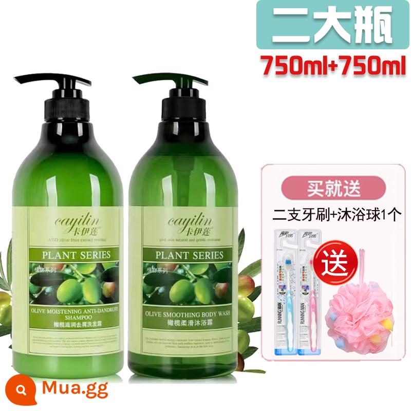 Kaelian Olive Dầu Gội Sữa Tắm Bộ Dưỡng Ẩm Trị Gàu Chống Ngứa Gói Gia Đình Nam Nữ Giặt Và Chăm Sóc Hương Thơm Lâu Dài - Dầu Gội Trị Gàu 750 Olive + Sữa Tắm 750