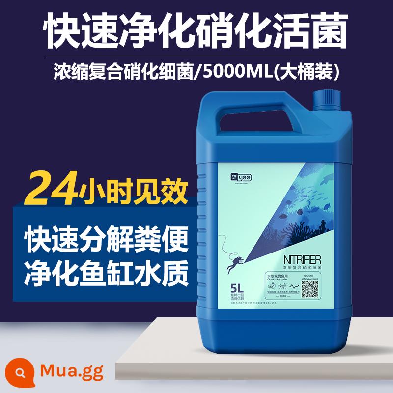 Vi khuẩn nitrat hóa bể cá với chất làm sạch nước nuôi cá chất lượng nước thanh lọc ổn định hồ cá thuốc khử trùng và tiêu hóa vi khuẩn sống cá - [Thanh lọc nhanh vi khuẩn nitrat hóa sống | Phản hồi thùng lớn] 5000ml đi kèm 20 vi khuẩn nitrat hóa