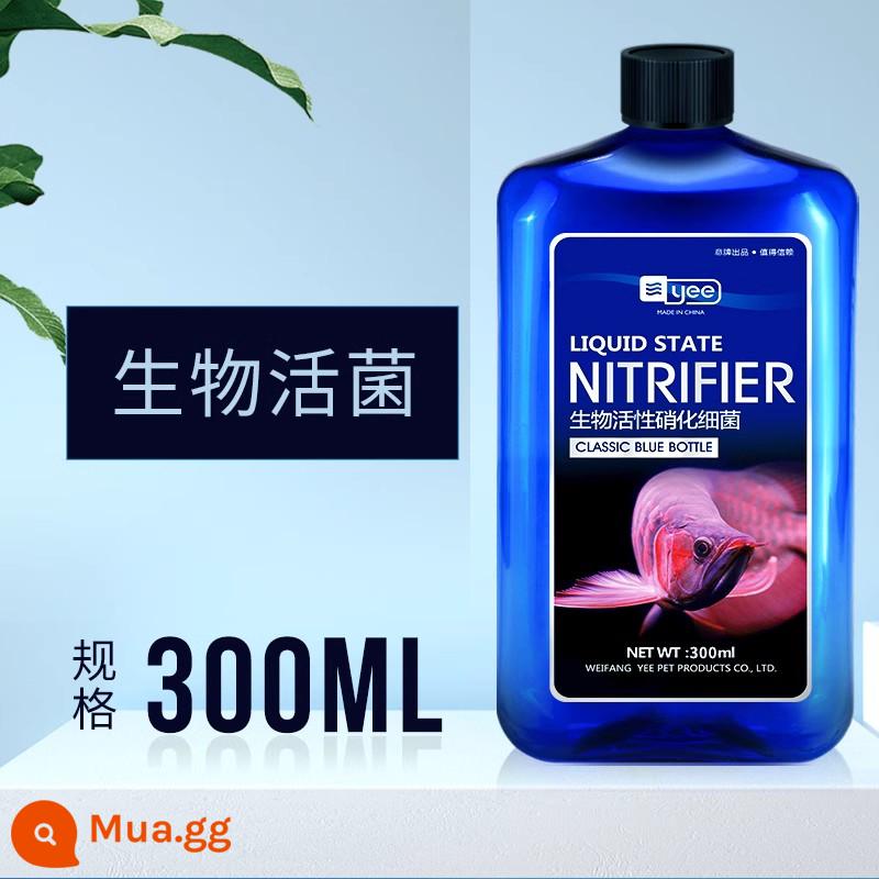 Vi khuẩn nitrat hóa bể cá với chất làm sạch nước nuôi cá chất lượng nước thanh lọc ổn định hồ cá thuốc khử trùng và tiêu hóa vi khuẩn sống cá - [Phản hồi lễ tạ ơn] 300ml vi khuẩn nitrat hóa sống giúp lọc chất lượng nước