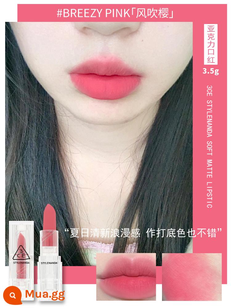 son môi 3ce mới ống màu xanh biển không gian lạnh mùa hè laser breezypink trắng nữ azurepink - #BREEZEZ HỒNG "Wind Blowing Sakura" đã có hàng! Vỏ bảo vệ trong suốt