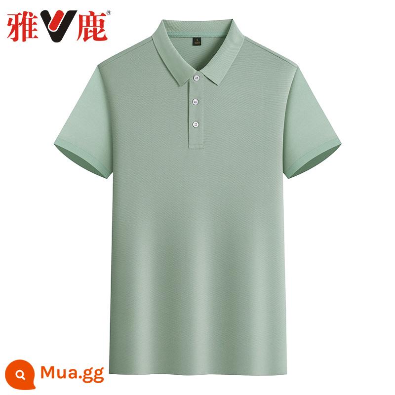 Áp Lục mùa hè áo thun ngắn tay xu hướng ve áo áo sơ mi POLO nam mỏng phần T-shirt quần áo - 22001-Trái cây xanh