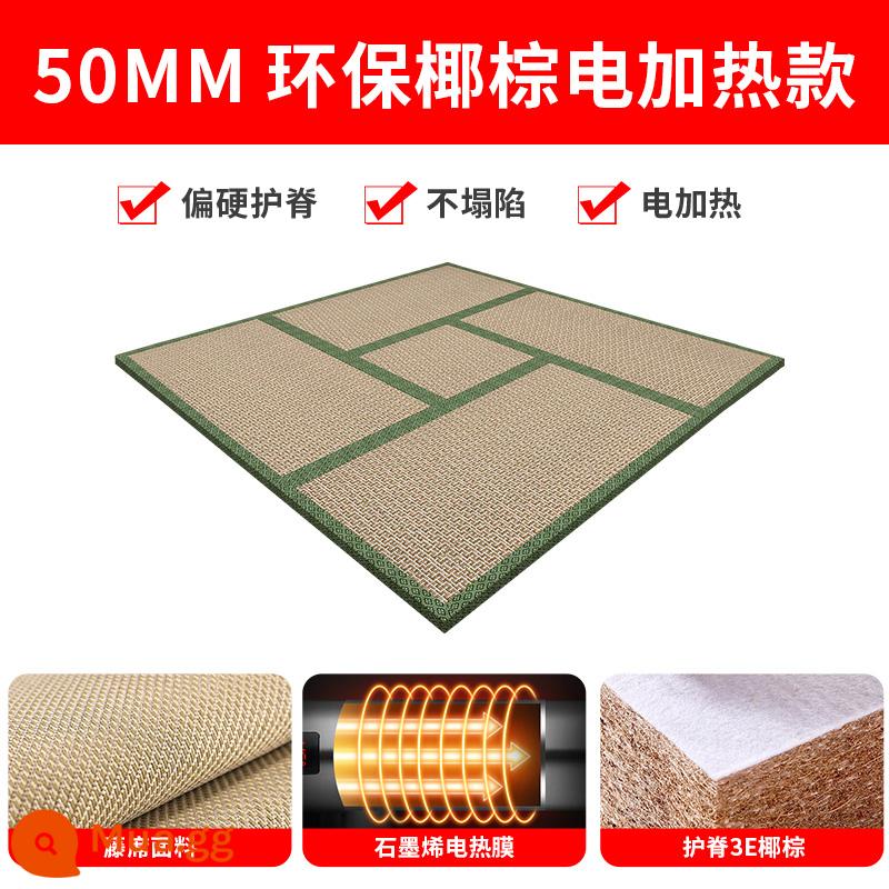 Nệm chiếu tatami tùy chỉnh làm từ cọ dừa hộ gia đình chiếu tatami phong cách Nhật Bản tatami sàn kang đệm sưởi kích thước tùy chỉnh - Lõi dừa 3E dày 5,0 cm (làm nóng bằng điện)