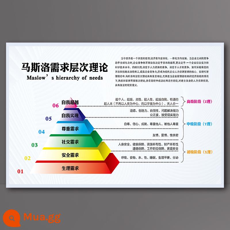 Bảng mức năng lượng Hawkins treo tường biểu đồ dán tường tự dính mức độ cảm xúc sức khỏe tâm thần kiến thức poster lớn treo tường biểu đồ - 2-29[Lý thuyết phân cấp nhu cầu của Maslow]