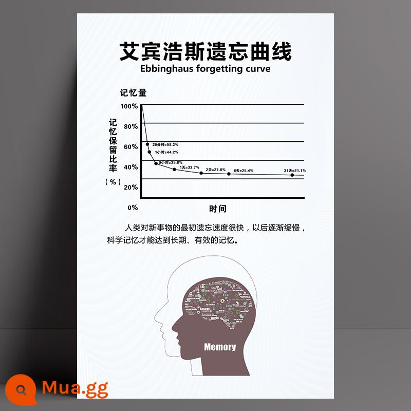 Bảng mức năng lượng Hawkins treo tường biểu đồ dán tường tự dính mức độ cảm xúc sức khỏe tâm thần kiến thức poster lớn treo tường biểu đồ - 2-17[Đường cong quên lãng Ebbinghaus]