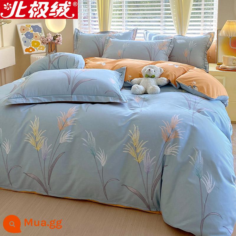 Nhung Bắc Cực Giường Bốn Bộ Cotton Nguyên Chất 100 Tờ Vỏ Chăn 3 Trang Bị Tấm Đơn Giản Chăn Ga Gối Mùa Đông 4 - Trà Sư-Lan