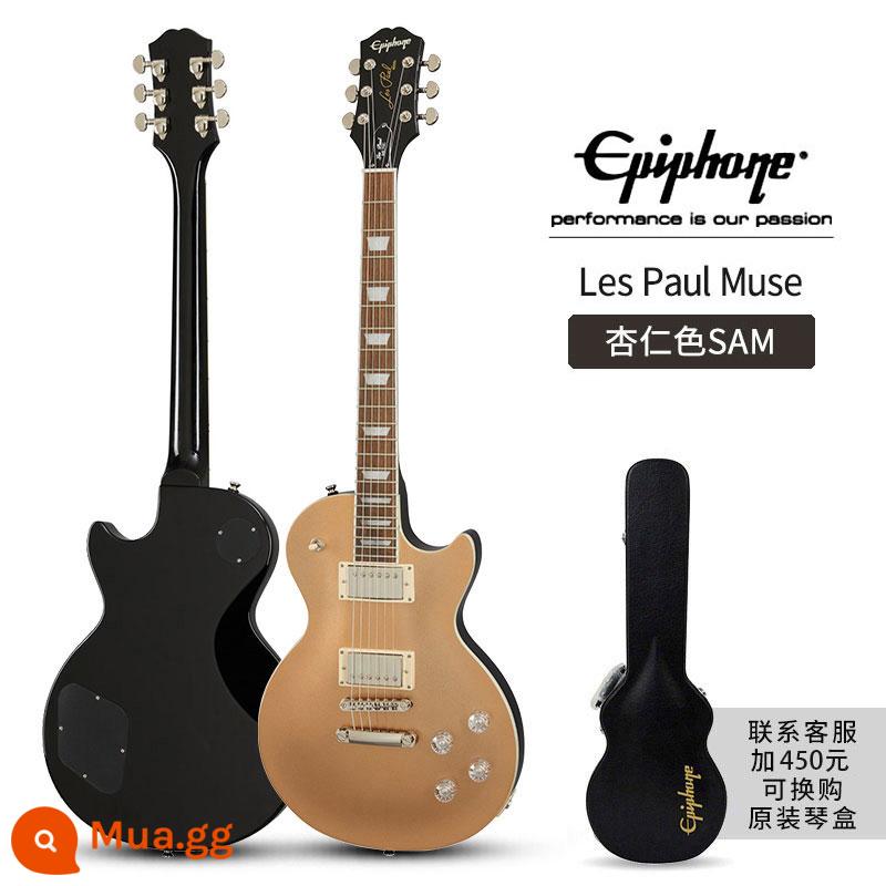 Epiphone Les Paul Standard 50S/Modern Figured Electric Guitar thập niên 60 - nàng thơ hạnh nhân