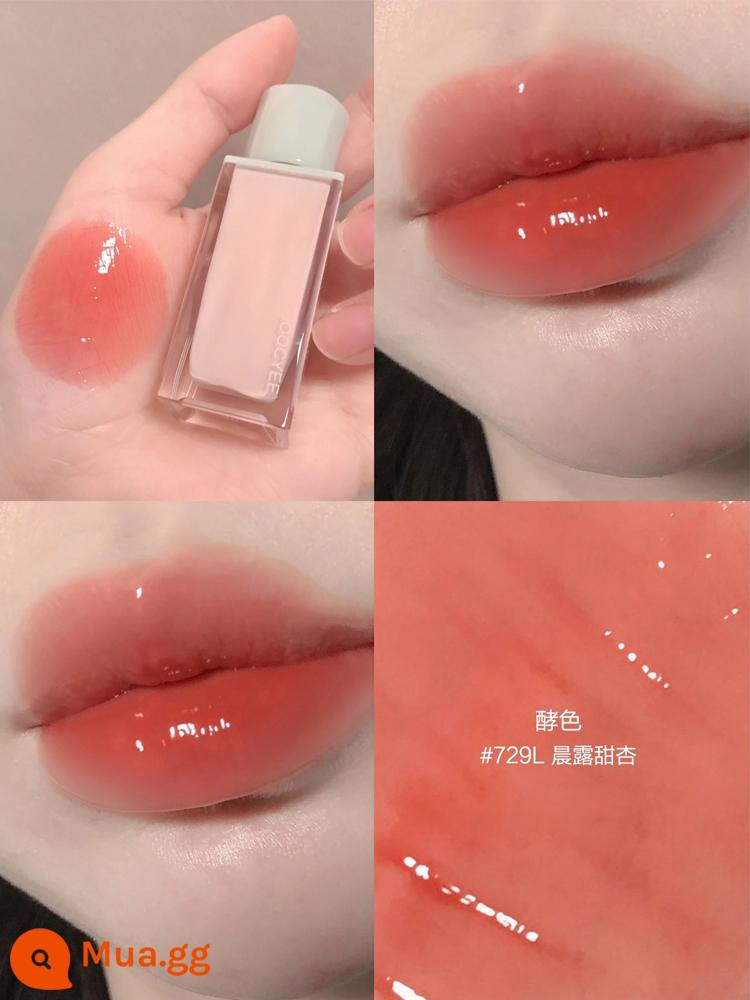 joocyee men lên men hổ phách jiaose son môi enzyme nhung mờ v05 vỏ màu nude nữ thu đông - Son Bóng Nước #729L Morning Dew Sweet Apricot Xuân Hè Series