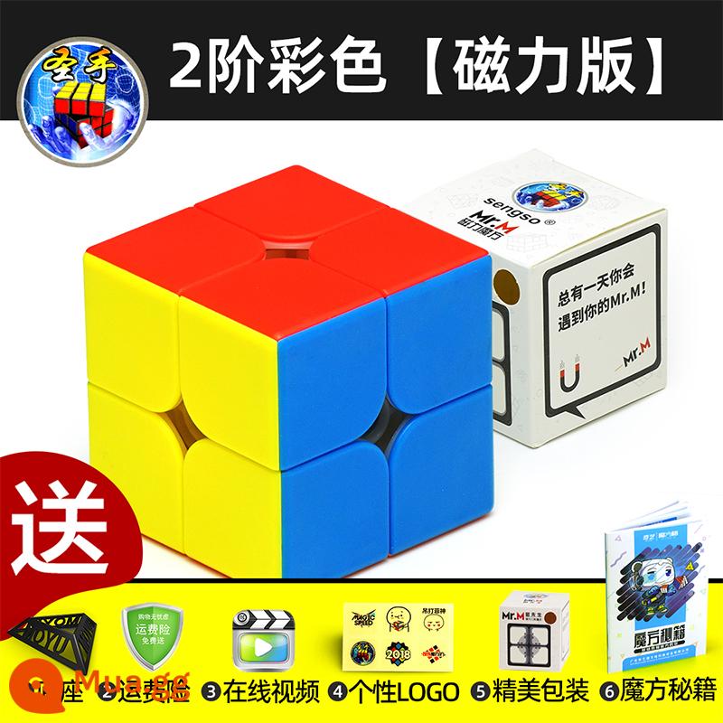 Thánh Tay Khối Lập Phương Rubik Hai Ba Bốn Năm 2453 Cấp Độ Đồ Chơi Giáo Dục Cho Trẻ Em Từ Người Mới Bắt Đầu Đa Dạng Vô Hạn Thi Đấu - Phiên bản từ tính khối Rubik cấp 2