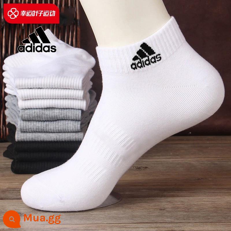 Trang web chính thức của Adidas vớ nam, vớ nữ, vớ ống giữa, vớ ba đôi, vớ thể thao cổ thấp, vớ, vớ bóng rổ - Khuyến nghị của người quản lý cửa hàng/ba đôi/size M: 40-42