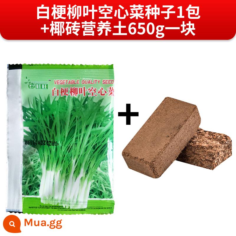 Hạt giống rau muống, thân trắng, lá liễu, hạt bắp cải xanh lá nhỏ, chậu trồng ban công, hạt giống rau bốn mùa - Hạt giống rau muống liễu thân trắng [1 gói] + đất dinh dưỡng gạch dừa 650g