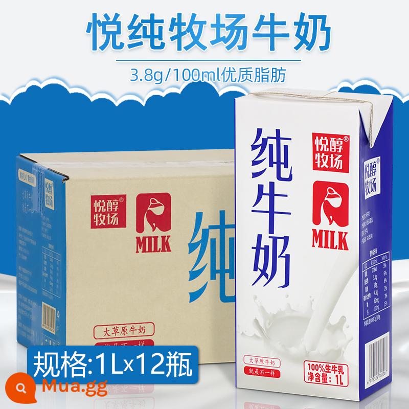 3,2%đầy đủ -fat Sữa nguyên chất 1L*12 Hộp cà phê trà sữa và bữa sáng - Sữa nguyên chất Yuechun Ranch 1L*12 chai