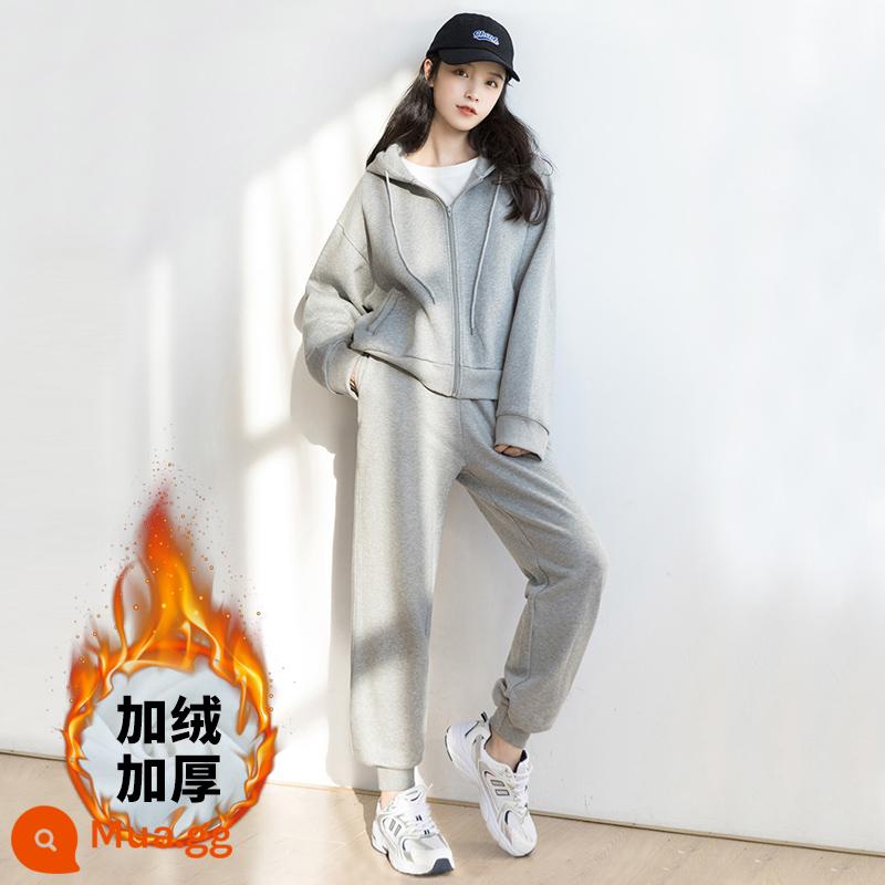 Mùa xuân năm mới, áo thể thao có mũ trùm đầu, cotton nguyên chất cộng với cashmere thời trang giản dị của Hàn Quốc Quần ban nhạc phù hợp với sinh viên nữ - Hai mảnh màu xám nhạt cộng với nhung