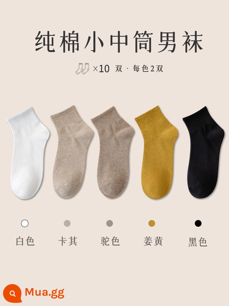 Vớ nam Zhuji trong vớ cotton mùa đông, chất khử mùi, mồ hôi, mồ hôi, vớ đen mùa đông ngắn - [10 đôi] Kết hợp [6] Trắng 2 Kaki 2 Lạc đà 2 Nghệ 2 Đen 2