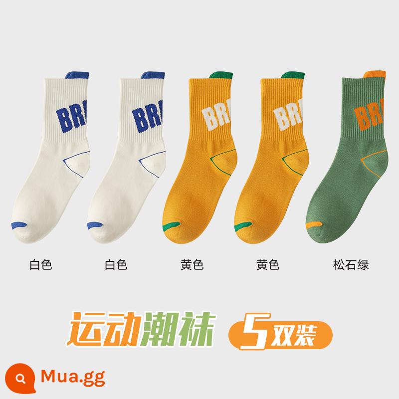 Zhuji Sock Men Mid -winter Mid -work Cotton Pregittered Switters và Sweat Sports Sports Autumn Basketball - 5 đôi [kết hợp C]