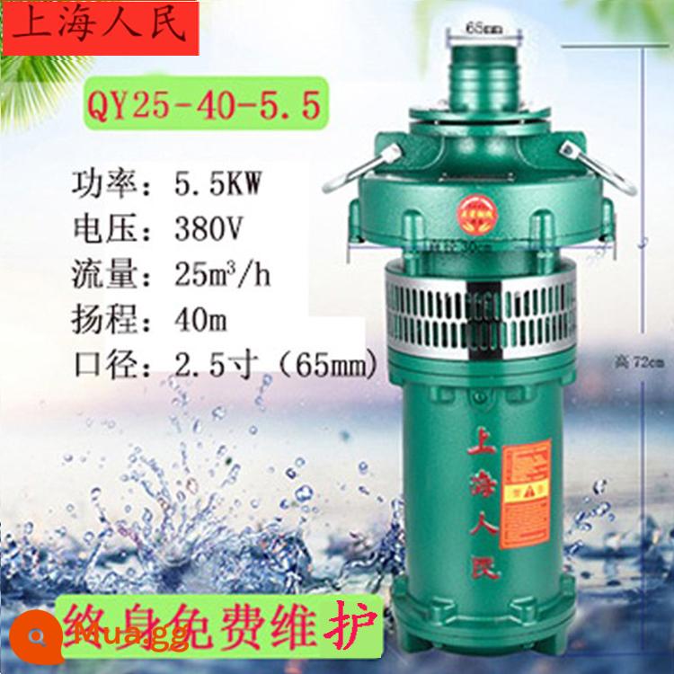 Máy bơm chìm dầu QY của Nhân dân Thượng Hải Máy bơm chìm ba pha 380v nâng cao tưới tiêu đất nông nghiệp dòng chảy lớn máy bơm giếng sâu công nghiệp - Tiêu chuẩn quốc gia 5,5kw 25 tấn 40 mét 2,5 inch