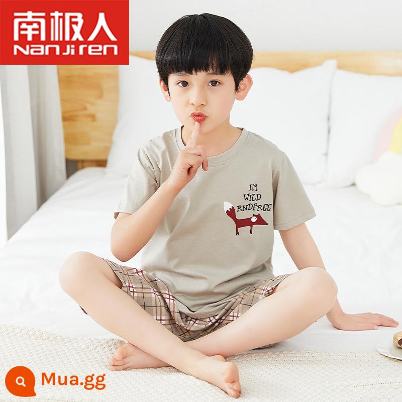 Bộ đồ ngủ trẻ em bé trai cotton ngắn tay mùa hè phần mỏng bé trai 12-15 tuổi trung và lớn phù hợp với dịch vụ gia đình mùa hè - Cáo tay ngắn màu xám nhạt