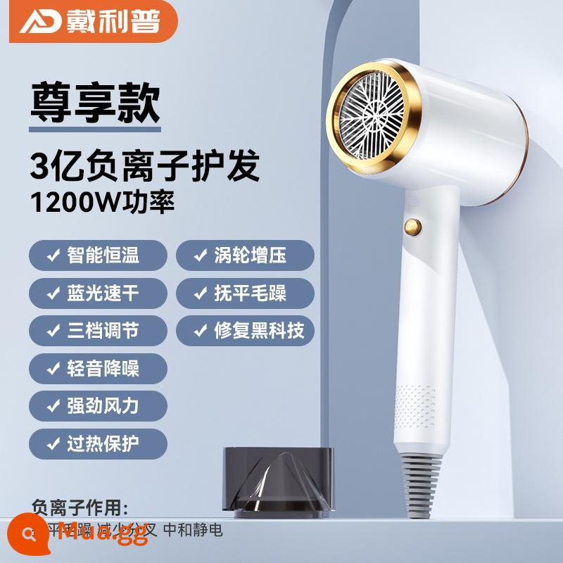 Máy sấy tóc sinh viên ký túc xá máy sấy tóc gia đình ion âm chăm sóc tóc 2021 new small power girls small - Haoyuebai [Mẫu độc quyền sử dụng tại nhà] 1200W + Chăm sóc tóc ion âm cấp độ 300 triệu + làm xoăn mượt