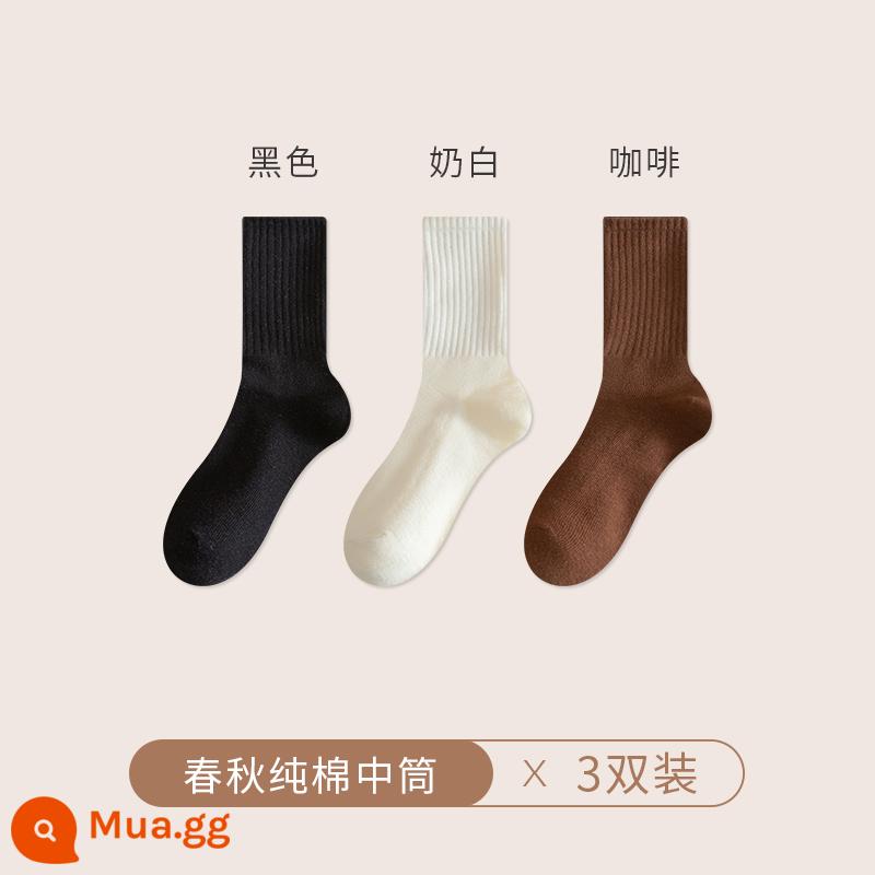 Vớ vào mùa thu và mùa đông tất cả vớ sock vớ nam màu đen và trắng không xương - [3 đôi] đen + trắng sữa + cafe