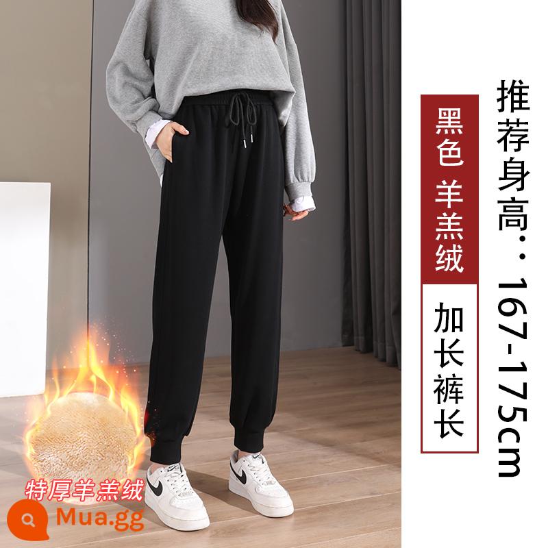 Quần legging màu đen dành cho nữ, xuân thu, dáng rộng và thon gọn, 2023 mới cỡ lớn cộng với nhung, quần cotton dày thường ngày mùa đông - Sherpa cực dày màu đen (mở rộng)