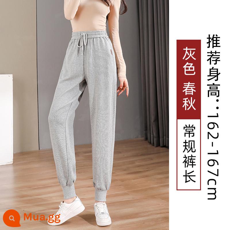 Quần legging màu đen dành cho nữ, xuân thu, dáng rộng và thon gọn, 2023 mới cỡ lớn cộng với nhung, quần cotton dày thường ngày mùa đông - Xám (thường) Xuân Thu