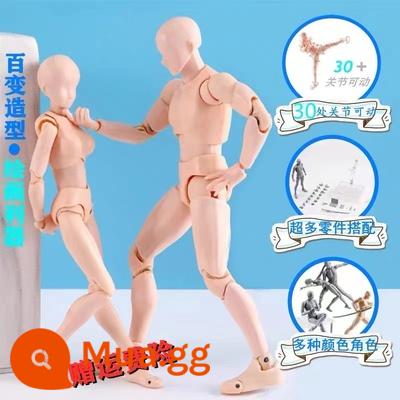 SHF Cơ Thể Cơ Thể Con Người Mô Hình Mô Hình Tranh Nghệ Thuật Tham Khảo Nam Nữ Dụng Cụ Trang Trí Hình Figma Khớp Di Động Búp Bê - Màu da SHF dành cho nam và nữ (bản combo chất lượng cao)