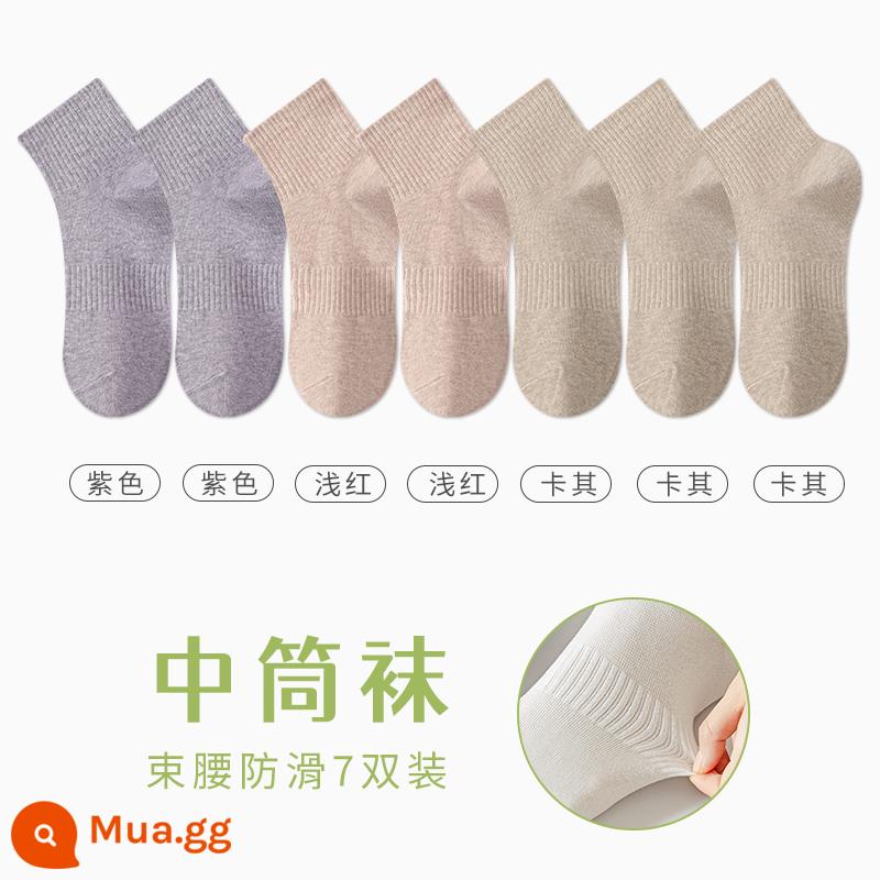 Tất Zhuji Vớ Nữ Giữa Ống Mỏng Mùa Hè Chất Liệu Cotton Nguyên Chất Khử Mùi Và Thấm Hút Mồ Hôi Xuân Thu Tất Trắng Không Xương Sau Sinh - "Bảy đôi" 2 đôi tím + 2 đôi đỏ nhạt + 3 đôi kaki