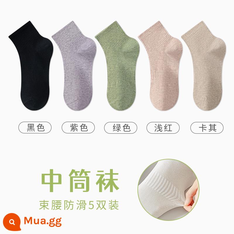 Tất Zhuji Vớ Nữ Giữa Ống Mỏng Mùa Hè Chất Liệu Cotton Nguyên Chất Khử Mùi Và Thấm Hút Mồ Hôi Xuân Thu Tất Trắng Không Xương Sau Sinh - "5 đôi" đen + tím + xanh + đỏ nhạt + kaki