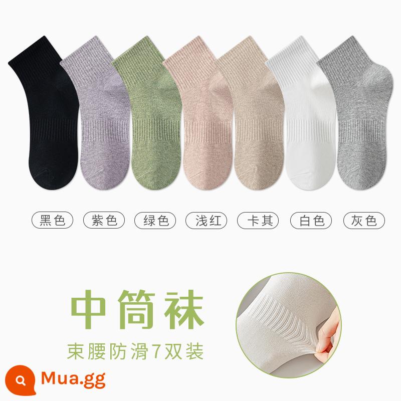 Tất Zhuji Vớ Nữ Giữa Ống Mỏng Mùa Hè Chất Liệu Cotton Nguyên Chất Khử Mùi Và Thấm Hút Mồ Hôi Xuân Thu Tất Trắng Không Xương Sau Sinh - "7 đôi" đen + tím + xanh + đỏ nhạt + kaki + trắng + xám