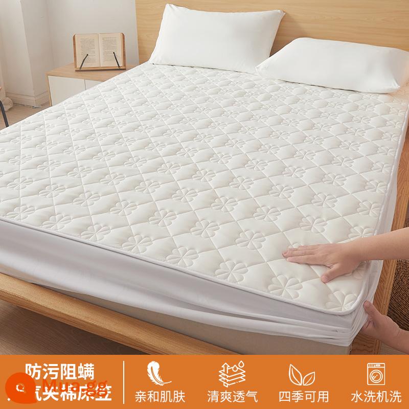 Ga trải giường chần bông trang bị đơn mảnh 2023 mới hợp thời trang cotton không nguyên chất bao gồm ga trải giường túi đệm giường bộ ga trải giường chống bụi - Màu trắng nguyên bản [cố định chống trượt toàn diện 360°]