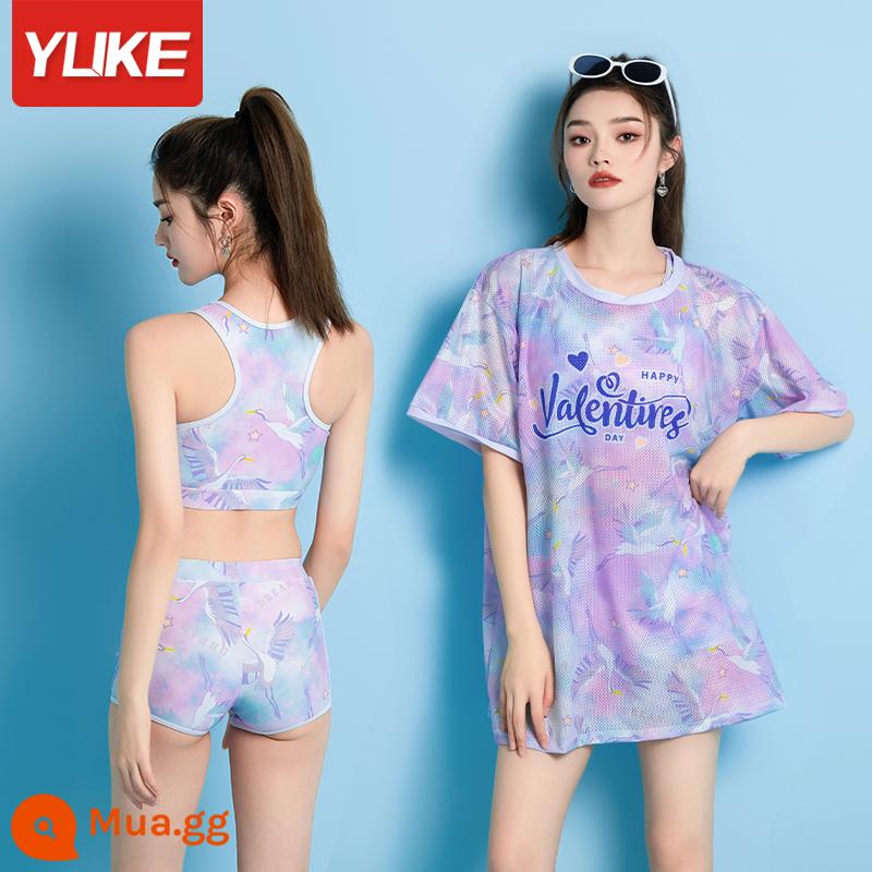 Đồ Bơi Nữ Bảo Thủ 2 Mảnh Nóng Ba Mảnh 2022 Phong Cách Mới Nóng Bỏng Size Lớn Mm Skinny Đồ Bơi - Bộ ba sản phẩm màu tím cao cấp [làm trắng và giảm béo]