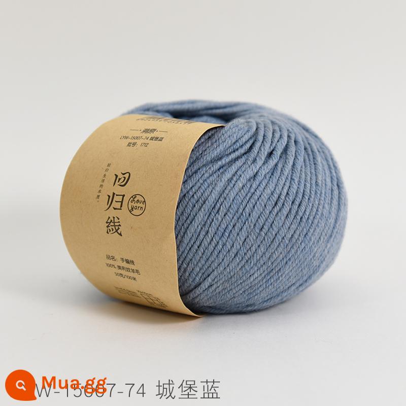 Dòng hồi quy dấu vết trở lại sợi len nguyên chất Merino nguyên chất dày vừa handmade tự làm que kim đan len khăn len bóng - Số 74-Lâu Đài Xanh