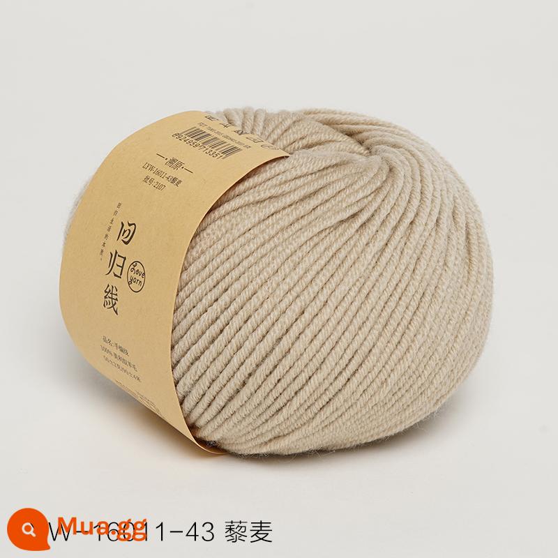 Dòng hồi quy dấu vết trở lại sợi len nguyên chất Merino nguyên chất dày vừa handmade tự làm que kim đan len khăn len bóng - Số 43 - Quinoa