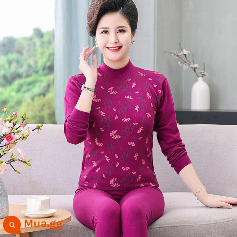 Trung niên và người cao tuổi quần áo mùa thu vệ sinh quần cotton nguyên chất của phụ nữ phù hợp với mẹ kích thước lớn sưởi ấm quần áo nam cao tuổi áo len cotton - 307 màu tím cát đỏ cổ giữa