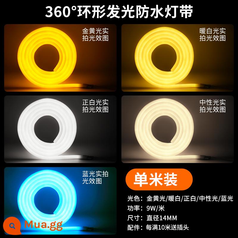 220 V Đèn LED Dải Nhà Siêu Sáng COB Bầu Không Khí Phòng Khách 3 Màu Đường Đèn Ngoài Trời Chống Thấm Nước RGB Hầu Tước Đèn - Gói 1 mét [dải đèn linh hoạt phát sáng 360°] phích cắm miễn phí trang trí chống nước ngoài trời cho 10 mét trở lên