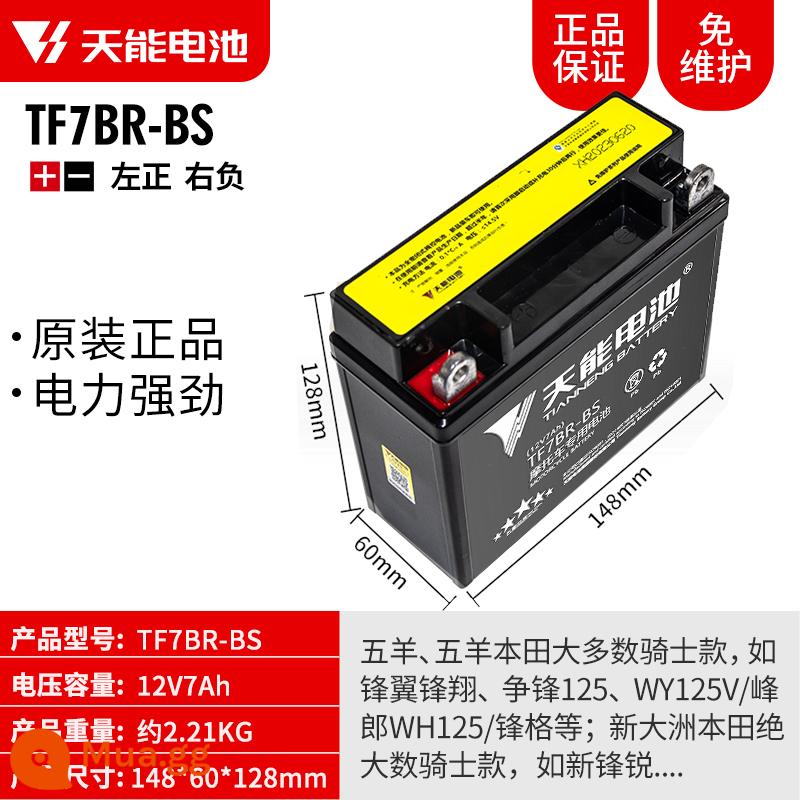 Pin xe máy Tianneng 12V5AH7AH9AH Pin dung lượng lớn Pin phổ thông Yamaha - 12V7AH-TF7BR