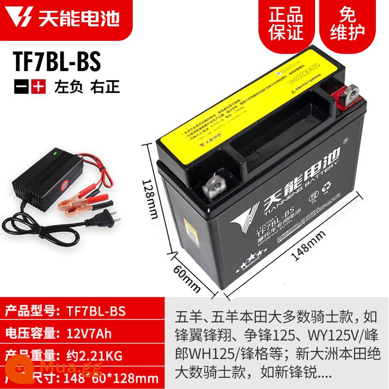 Pin xe máy Tianneng 12V5AH7AH9AH Pin dung lượng lớn Pin phổ thông Yamaha - 12V7AH-TF7BL (bao gồm bộ sạc)