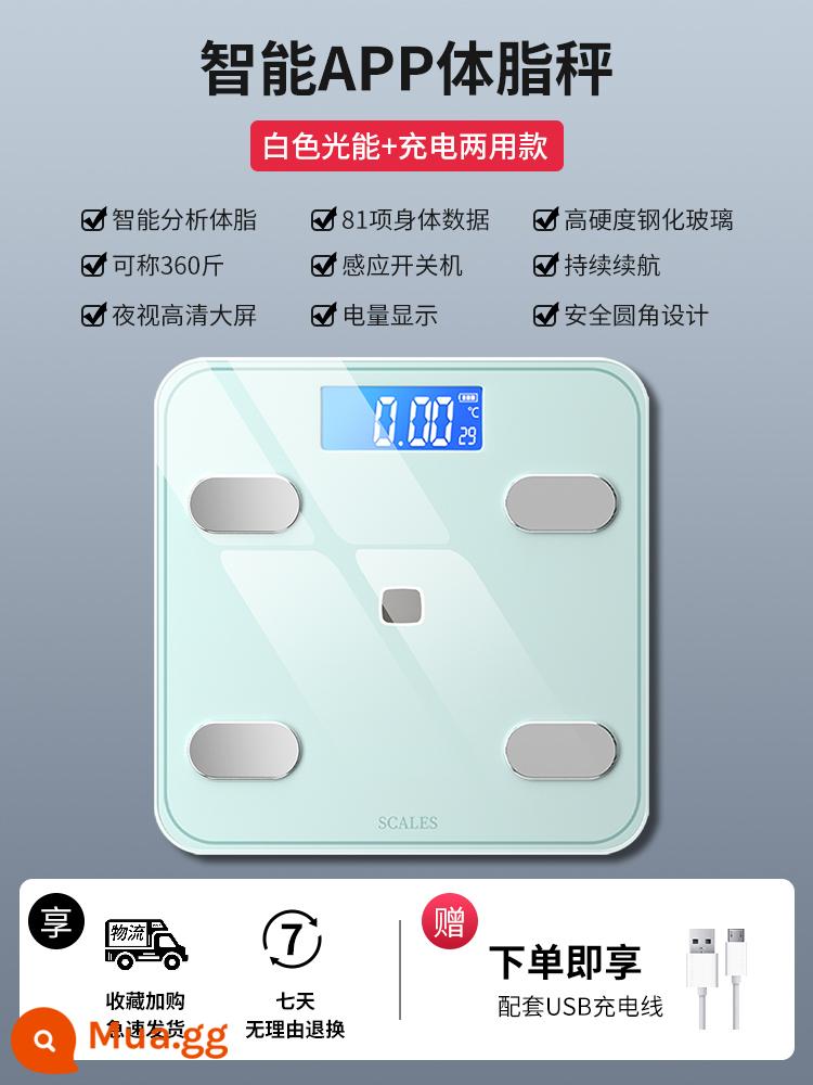 Cân điện tử gia đình cơ thể nhỏ trọng lượng gia đình độ chính xác cơ thể con người giảm cân cân đo sạc bền ký túc xá nữ - [Sạc năng lượng ánh sáng] Model thông minh được nâng cấp + kết nối APP + thước dây giảm béo