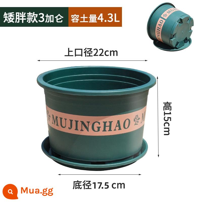 Chậu gallon dày thế hệ thứ hai mới cho ban công ngoài trời hộ gia đình chậu hoa nho vàng hồng chậu hoa nhựa in lớn - M22 (đường kính 22CM) 5 chậu