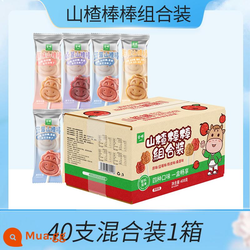 Jinye Hawthorn Lollipop Không Thêm Chất Bảo Quản Snack Táo Gai Cho Trẻ Em Vỏ Cam Dâu Tằm Việt Quất 408g - 1 hộp